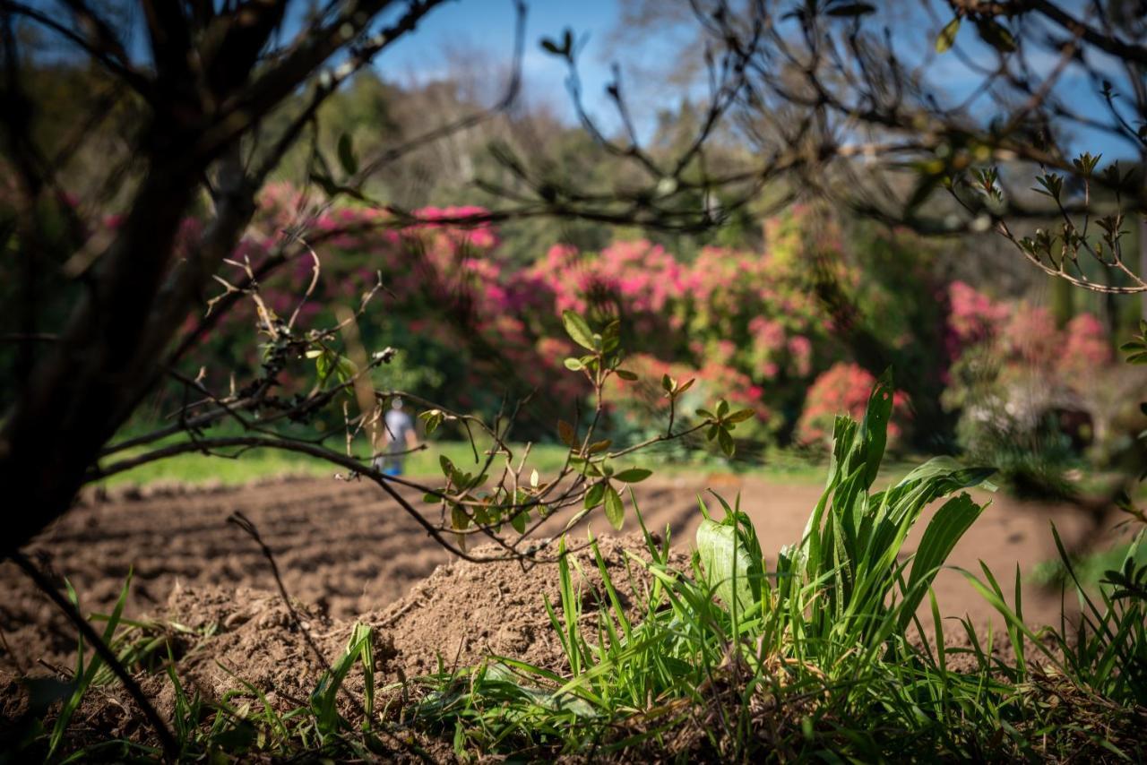 منزل الضيف Lever  في Quinta De Mouraes Casa Dos Rododendros المظهر الخارجي الصورة