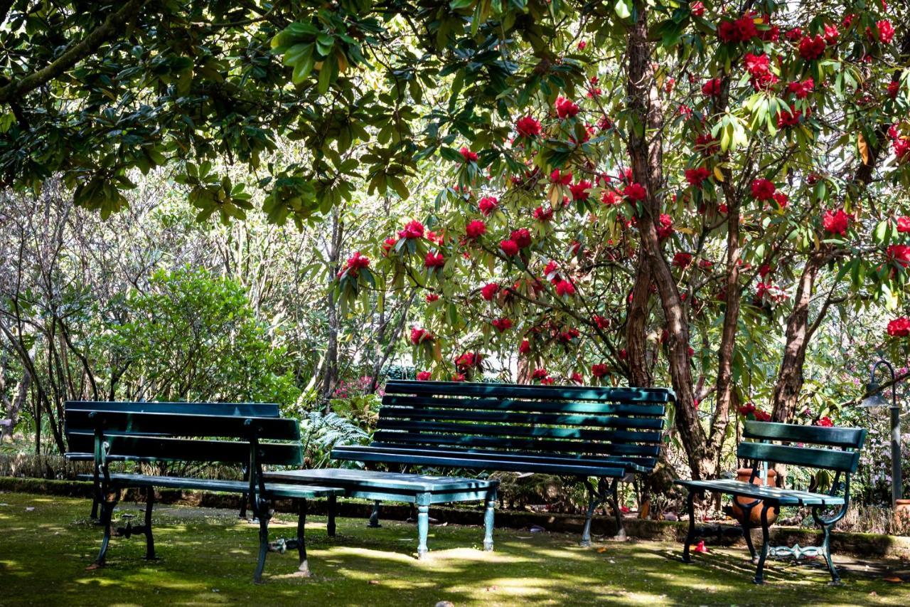 منزل الضيف Lever  في Quinta De Mouraes Casa Dos Rododendros المظهر الخارجي الصورة