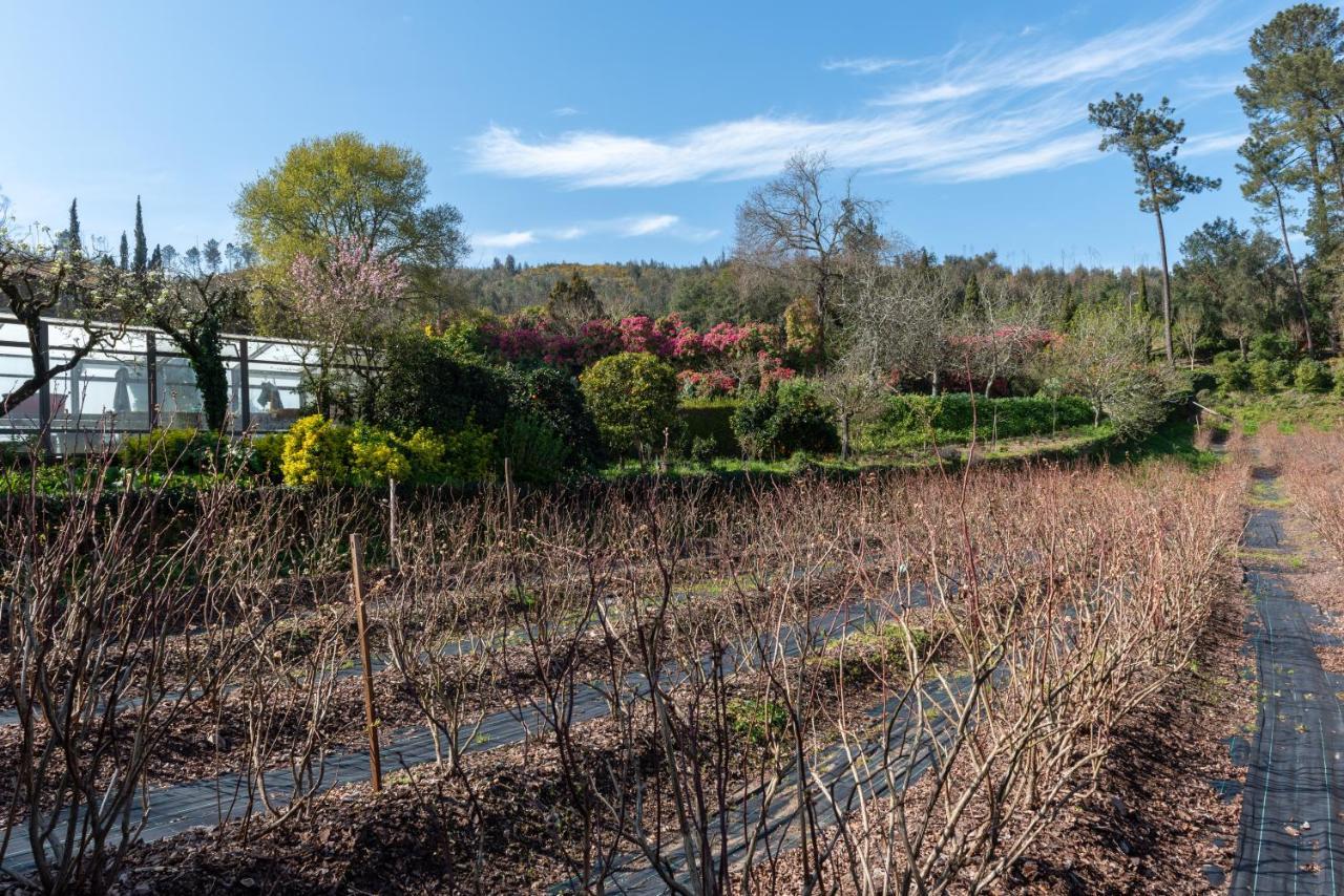 منزل الضيف Lever  في Quinta De Mouraes Casa Dos Rododendros المظهر الخارجي الصورة