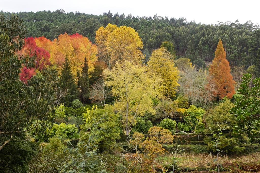 منزل الضيف Lever  في Quinta De Mouraes Casa Dos Rododendros المظهر الخارجي الصورة