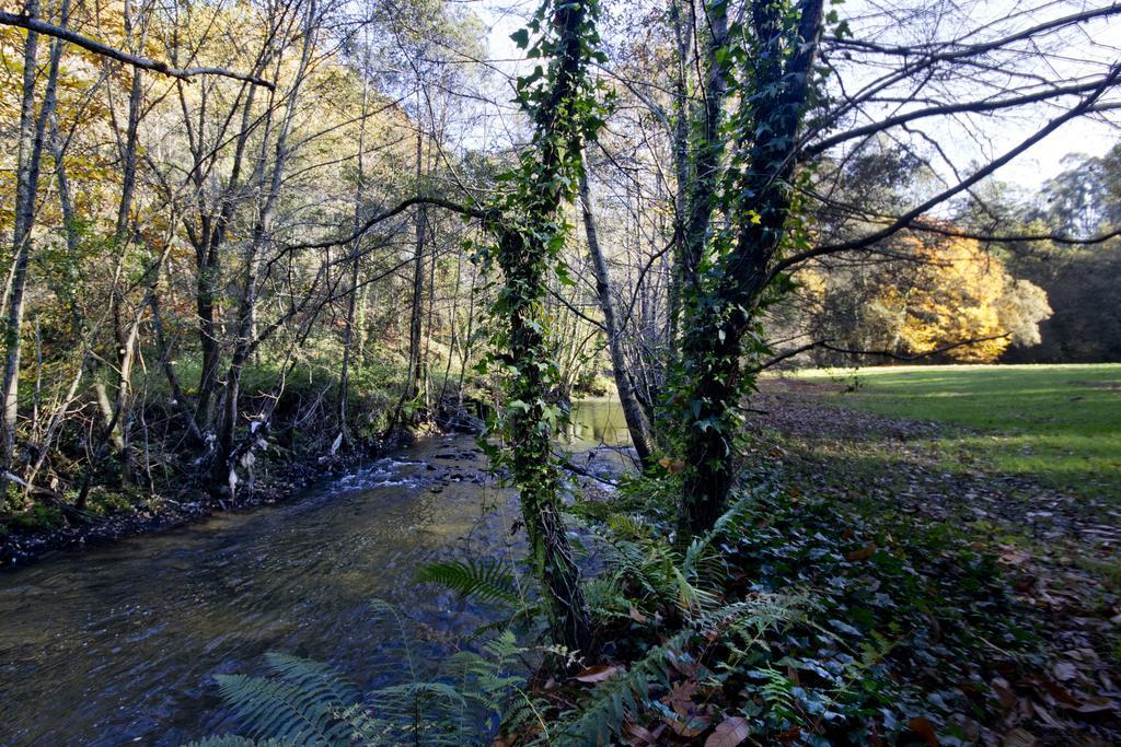 منزل الضيف Lever  في Quinta De Mouraes Casa Dos Rododendros المظهر الخارجي الصورة