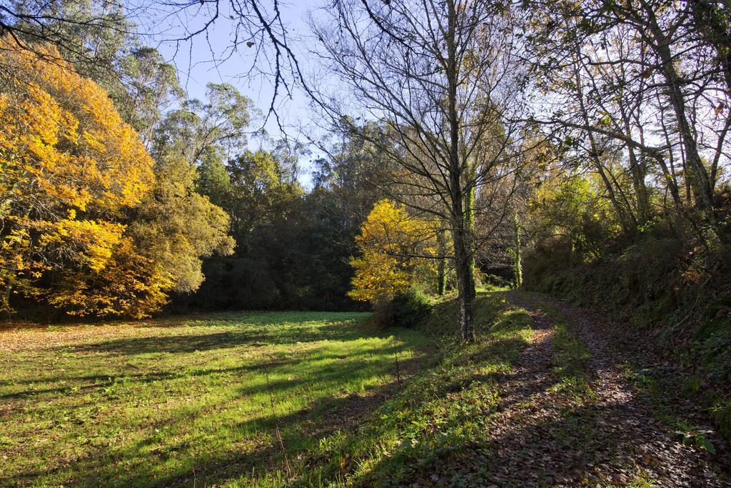 منزل الضيف Lever  في Quinta De Mouraes Casa Dos Rododendros المظهر الخارجي الصورة