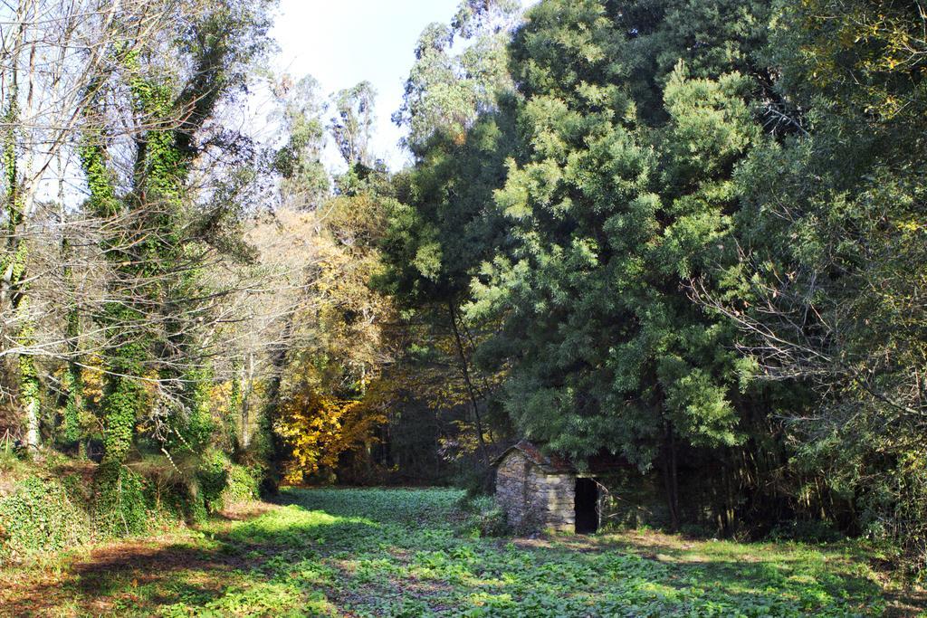 منزل الضيف Lever  في Quinta De Mouraes Casa Dos Rododendros المظهر الخارجي الصورة