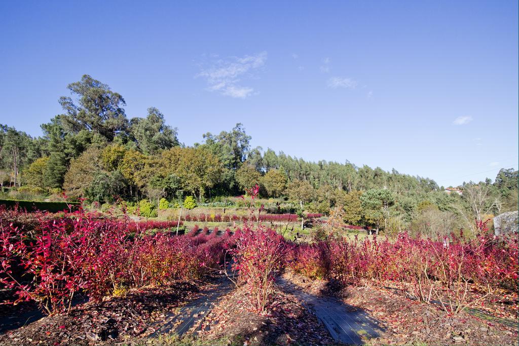 منزل الضيف Lever  في Quinta De Mouraes Casa Dos Rododendros المظهر الخارجي الصورة