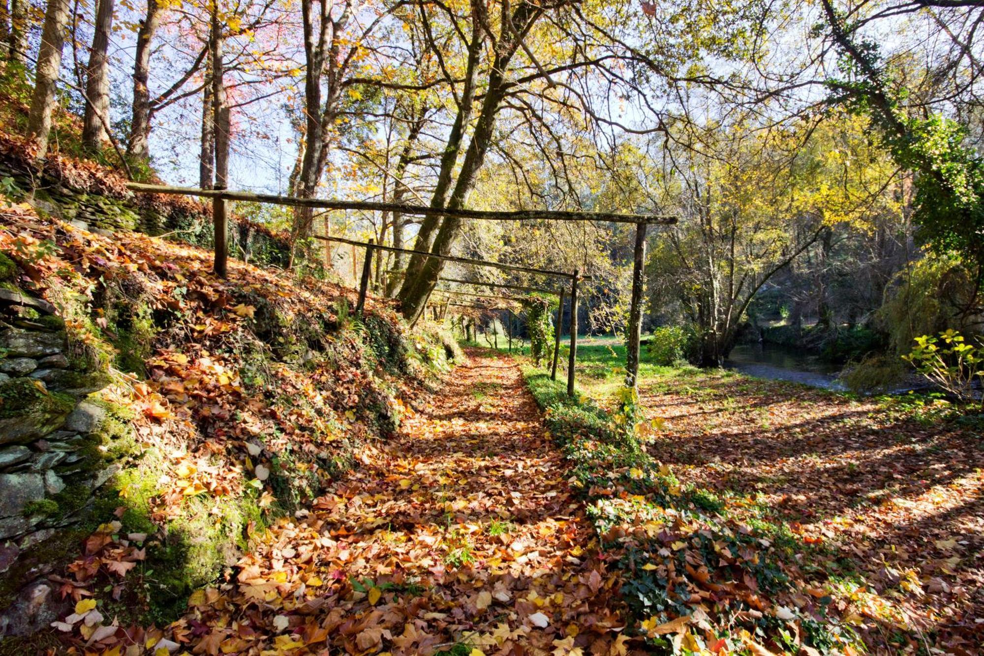 منزل الضيف Lever  في Quinta De Mouraes Casa Dos Rododendros المظهر الخارجي الصورة
